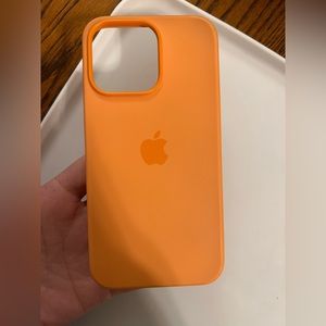 iPhone 13 Pro case- great condition